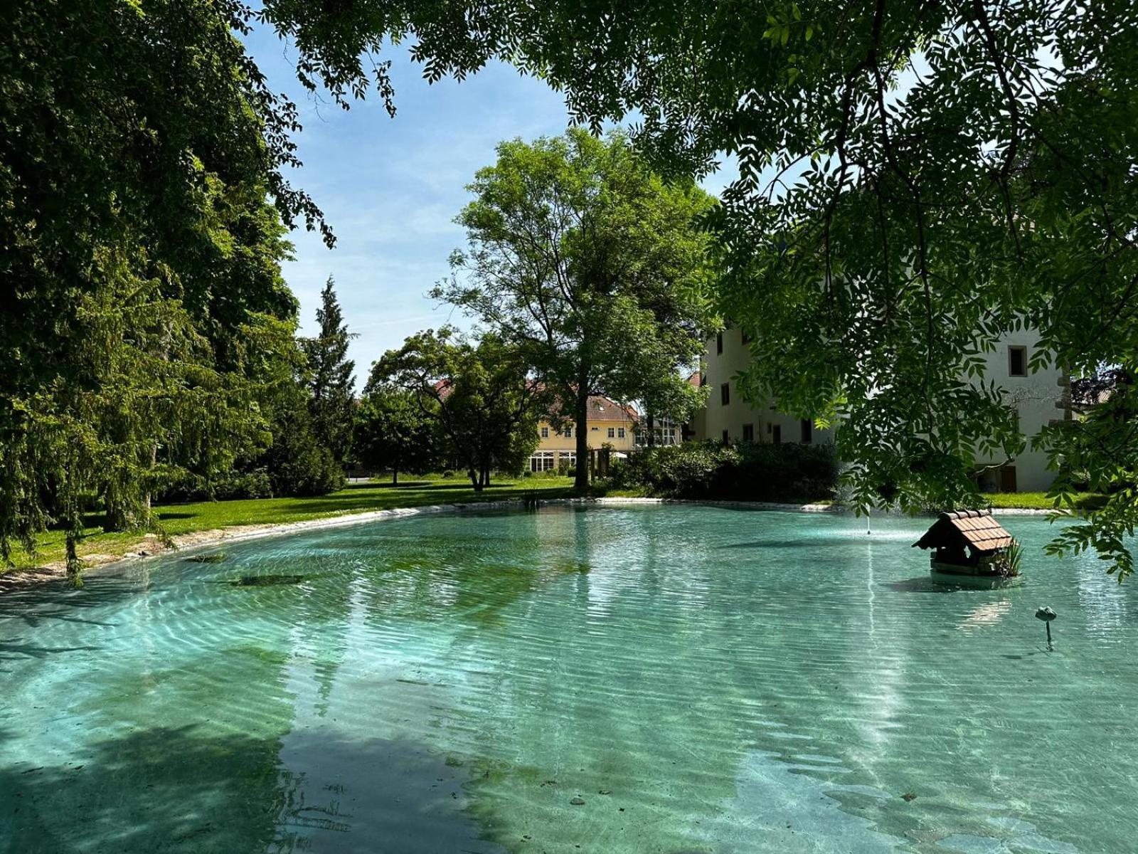Schloss Neckarbischofsheim Dış mekan fotoğraf